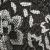 Antracite