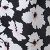 Variante_unica