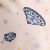 Galassia