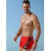 Пляжные боксеры Jolidon bikini JOL-B627I 25