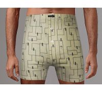 Трусы боксеры Gentlemen 49 GBTM
