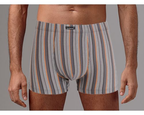 Трусы шорты Gentlemen 7866 GSTM