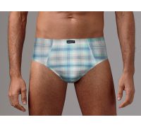 Трусы слип Gentlemen GP7269