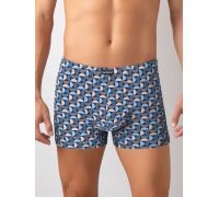 Трусы шорты Gentlemen GS7935