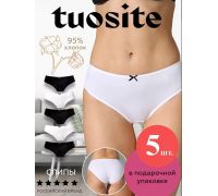 Трусы слип Tuosite 0043 TSV1TD